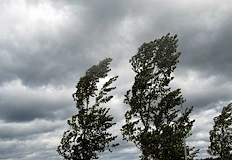 Опасен вятър до 80 км ч затваря обръча около Дунавския