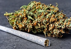 Наркотикът е предаден доброволно при полицейска проверка на улица ЮндолаПолицейски