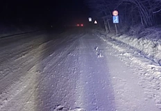 Снегонавявания по главния път Русе – Варна затвориха жителите на