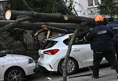 Дървото затисна паркирана кола на улица Света Марина в квартал