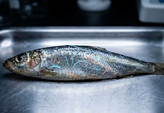 Българското крайбрежие остава по чисто от румънското заради морските течения