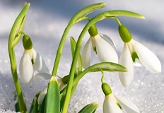 Дъжд върху лед блокира страната от утреДългоочакваното затопляне което започва