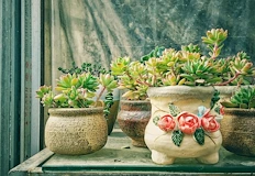 Влагата от тъканите може да влоши проблема с гъбичните инфекцииКондензът