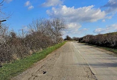 Община Русе прекрати процедурата след съдебни битки и нови технически