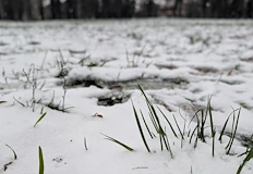 Жълт код за валежи е в сила за три области
