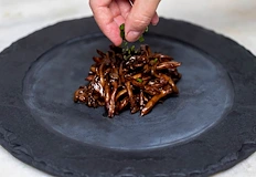 Интересът към протеина достигна исторически връх през 2025 годинаТърсенето на