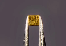 Нов механизъм обяснява натрупването на благородния метал от води с