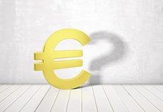 Технически указания за потребителите в първия ден на новата валутаБългария