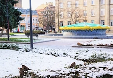 Най много са дамите с името Антоанета – 332Общо 1587