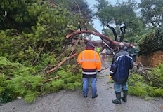 Властите въвеждат драконовски мерки и призовават да не се пътува