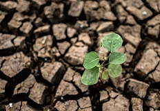 Проучване предупреждава за две годишни горещи вълни с продължителност 14