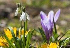 Амплитуда от 35 градуса ще бележи времето през месецаПрез февруари