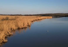 Преброяването на птиците разкрива драстичен спад на зимуващите ятаГлобалното затопляне