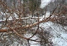 ЕРП Север отстранява аварии в 4 селаПътят Русе – Бяла