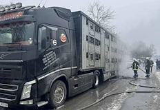 Огнеборци спасиха животните от пламъците трафикът към Димитровград остава отворенТехническа