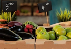 Земеделци предупреждават за масови фалити поради липса на държавна подкрепаБългарското