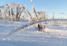 Във вторник ще започне постепенно затоплянеСредиземноморски циклон ще премине през