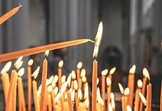 Спазват се строги забрани за предпазване от болестиДнес 17 януари