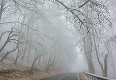 Видимостта падна до 30 метраТежка мъгла и опасни валежи от