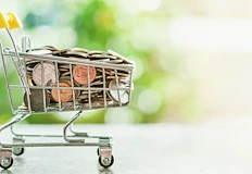 Властите отчитат успех с еврото докато инфлацията и глобите задушават