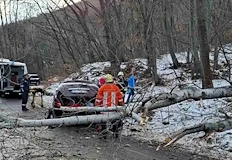 Директорът на парка не знае кой носи отговорност за убитата