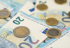 Книжовната норма не признава множествено число за валутатаИнститутът за български