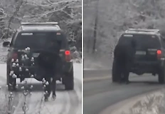 Сигналът е разпространен във Facebook полицията все още не потвърждаваСтряскащ