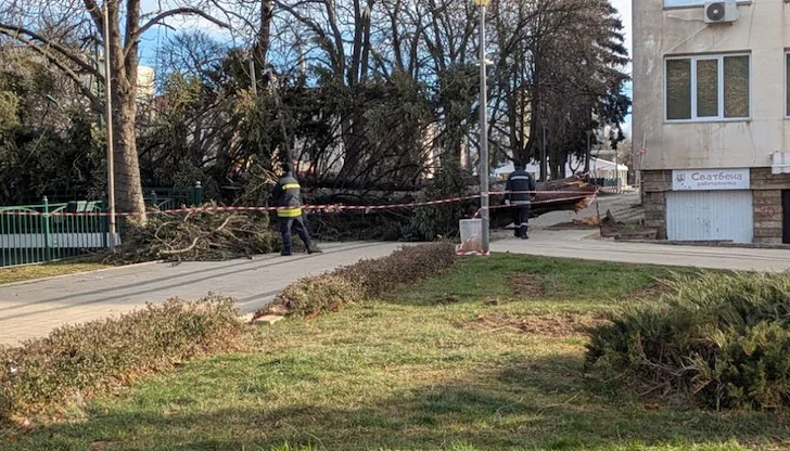 Инцидентът се размина без пострадали, но унищожи част от коледната украса на града Инцидентът се размина без пострадали, но унищожи част от коледната украса на града