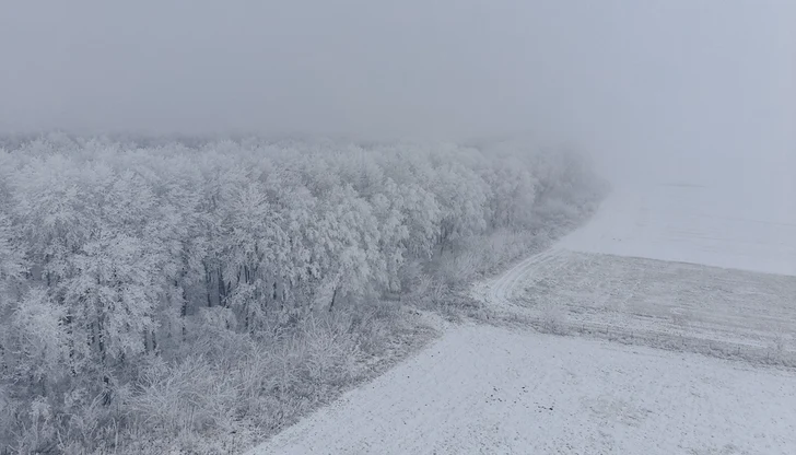 Националната метеорологична служба прогнозира до 30 см сняг по Източното крайбрежие и критични заледявания на юг Националната метеорологична служба прогнозира до 30 см сняг по Източното крайбрежие и критични заледявания на юг
