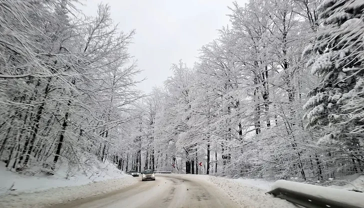 Общо 44 машини обработват настилките, температурите паднаха до минус 4 градуса Общо 44 машини обработват настилките, температурите паднаха до минус 4 градуса