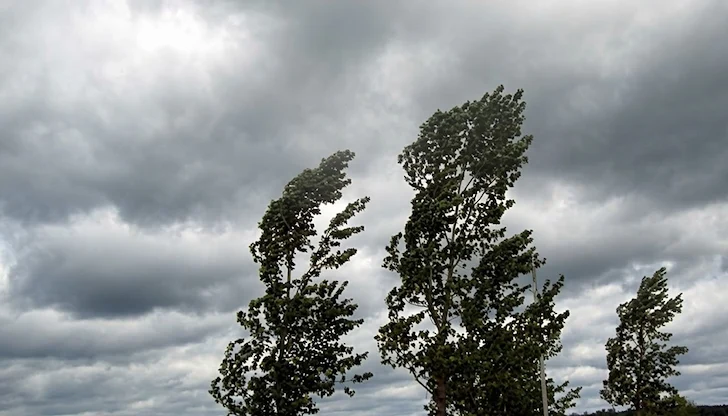 Опасен вятър до 80 км/ч затваря обръча около Дунавския град, поледици сковават Северозапада Опасен вятър до 80 км/ч затваря обръча около Дунавския град, поледици сковават Северозапада