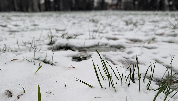 Жълт код за валежи е в сила за три области, температурите падат до минус 8 градуса Жълт код за валежи е в сила за три области, температурите падат до минус 8 градуса