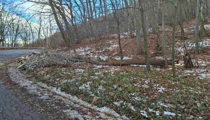 Причината за мярката е силният ураганен вятър Причината за мярката е силният ураганен вятър