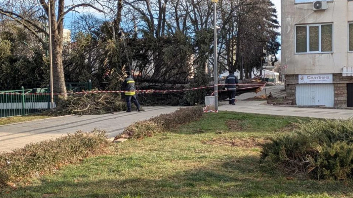 Инцидентът се размина без пострадали, но унищожи част от коледната