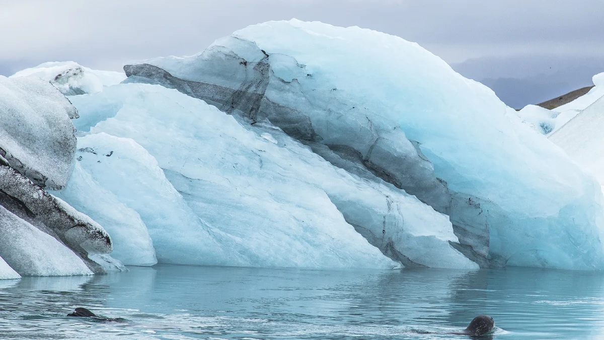 Някогашният леден титан загуби 75% от площта си и навлиза