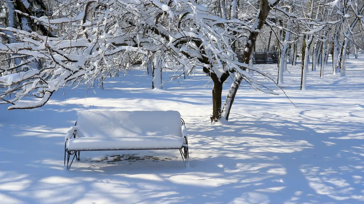 Втора вълна на студ скова северната ни съседкаНова вълна от