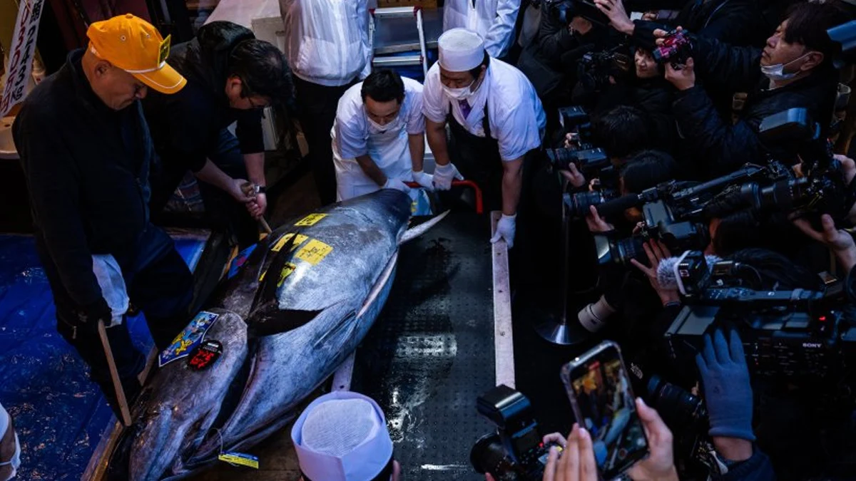 Японски суши магнат плати 510 милиона йени за една риба