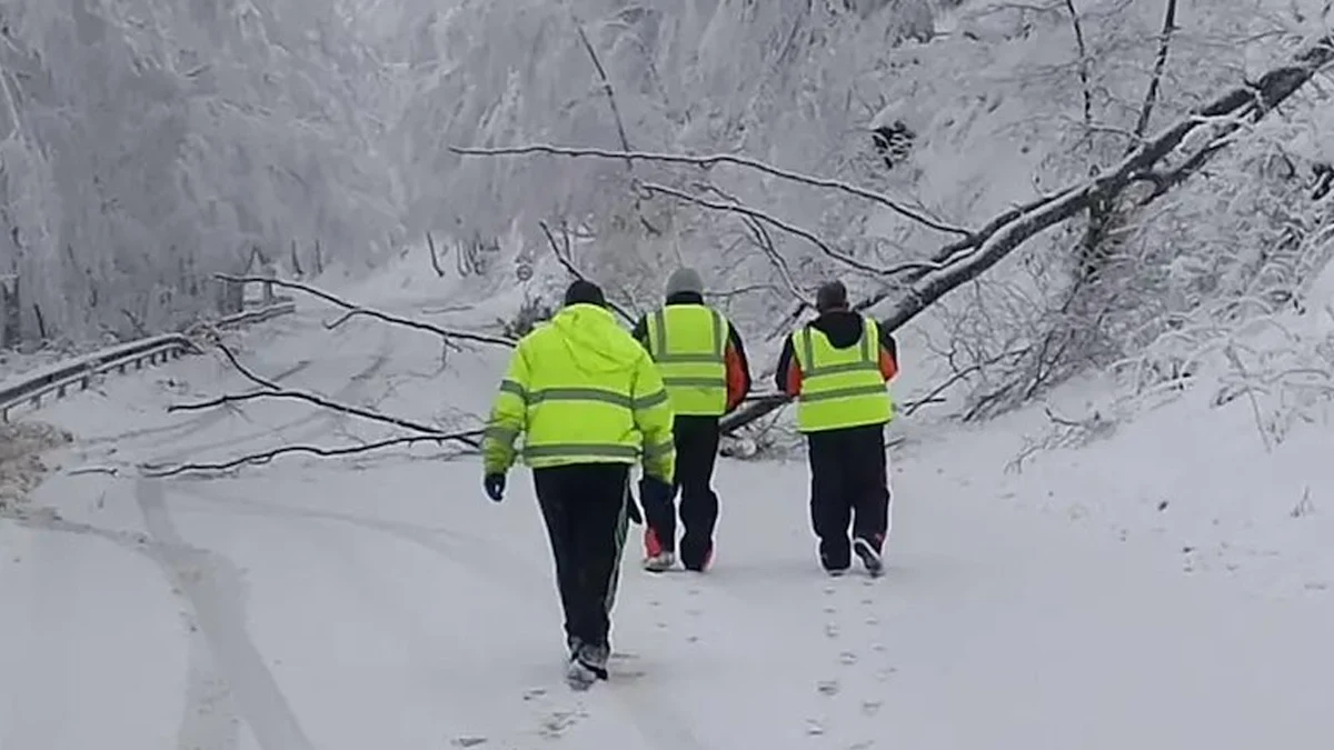 София чисти снега със 109 машини, АПИ пусна едва 261