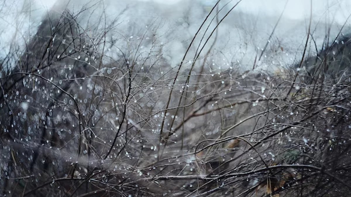 Термометрите падат до 1 градус на север, на юг остават