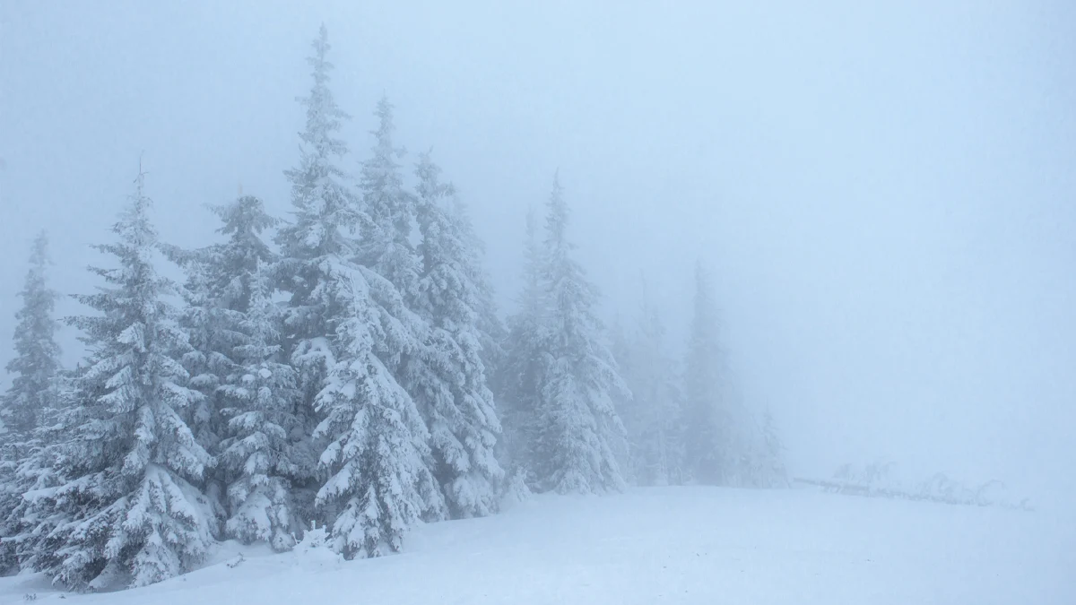 Над 10 000 полета са отменени, Доналд Тръмп обяви извънредно