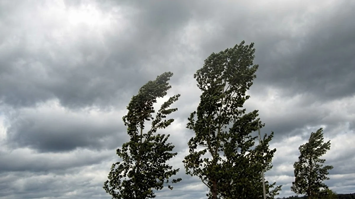 Опасен вятър до 80 км/ч затваря обръча около Дунавския град,