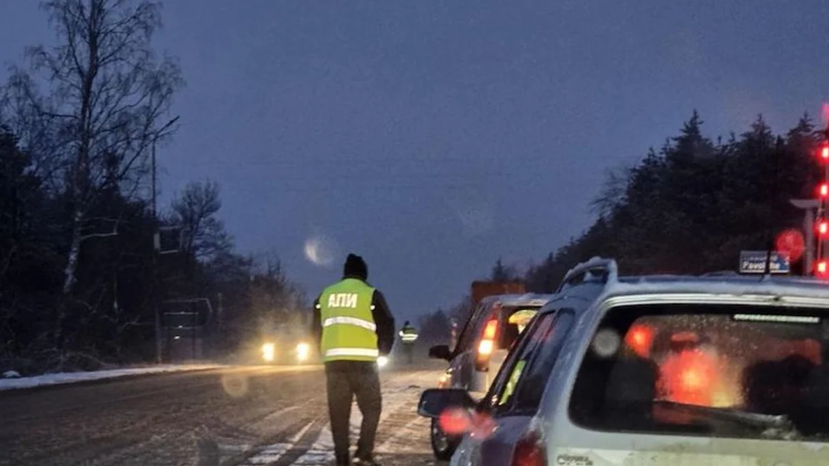 Няма пострадали при инцидента, но движението по Е-79 остава блокираноТежкотоварен