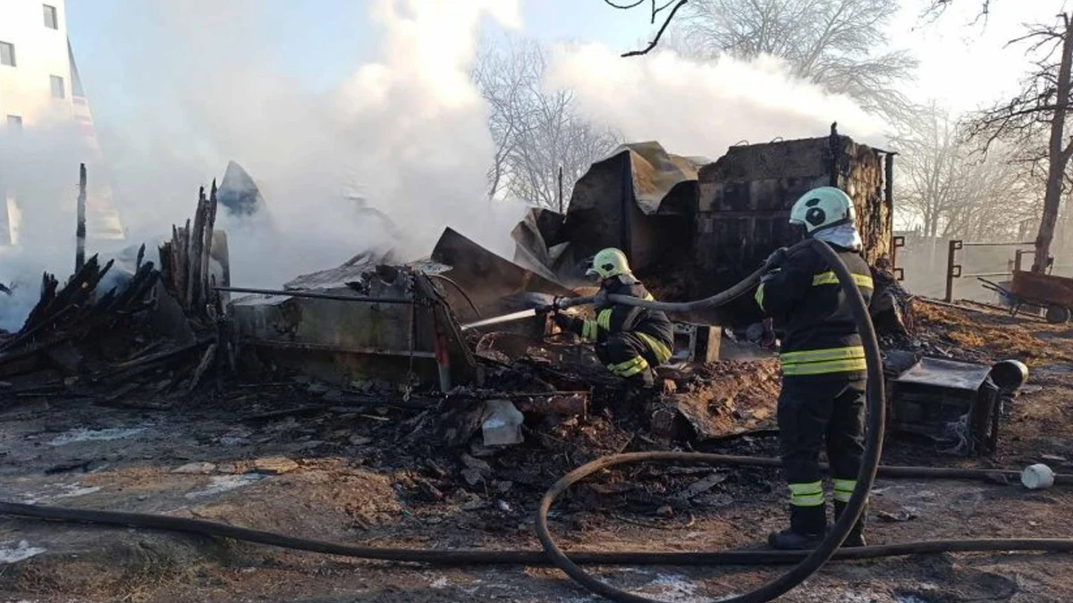 Охранител е в болница след неуспешен опит да спаси животните