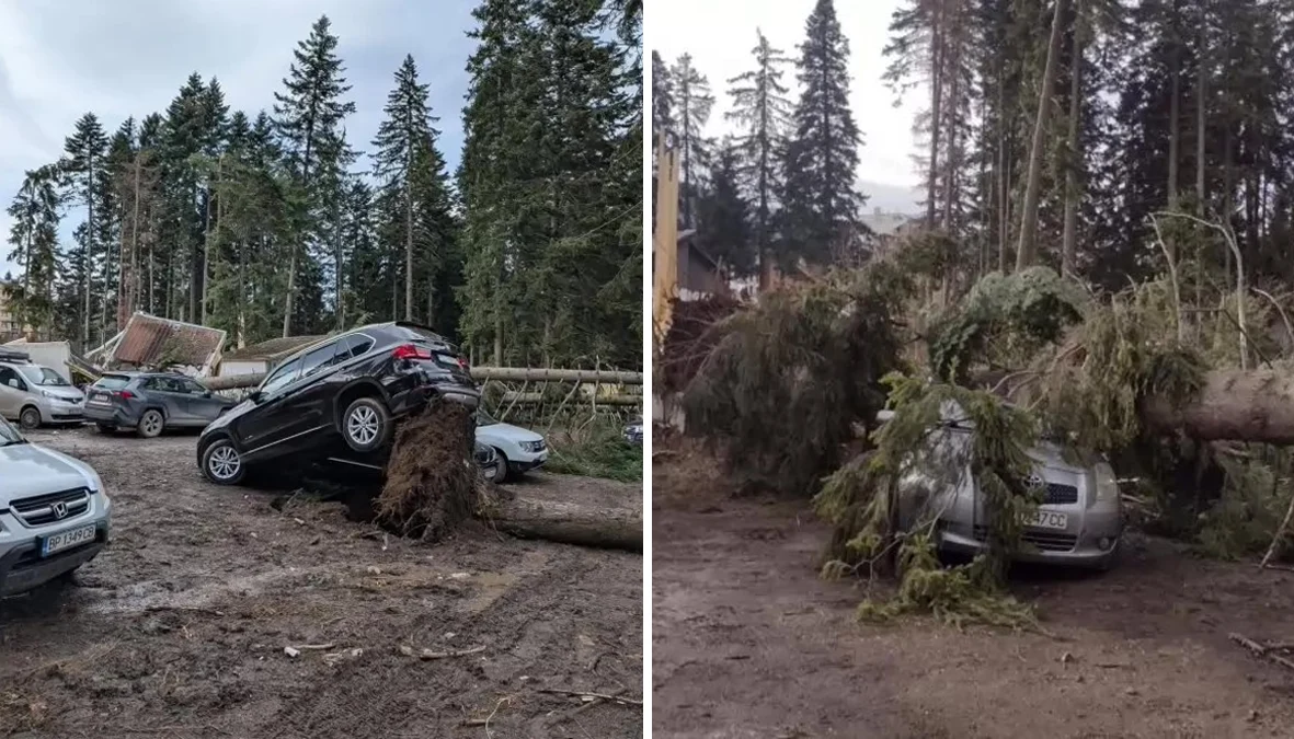 НИМХ обяви жълт код за ураганен вятър в 16 областиСистемата