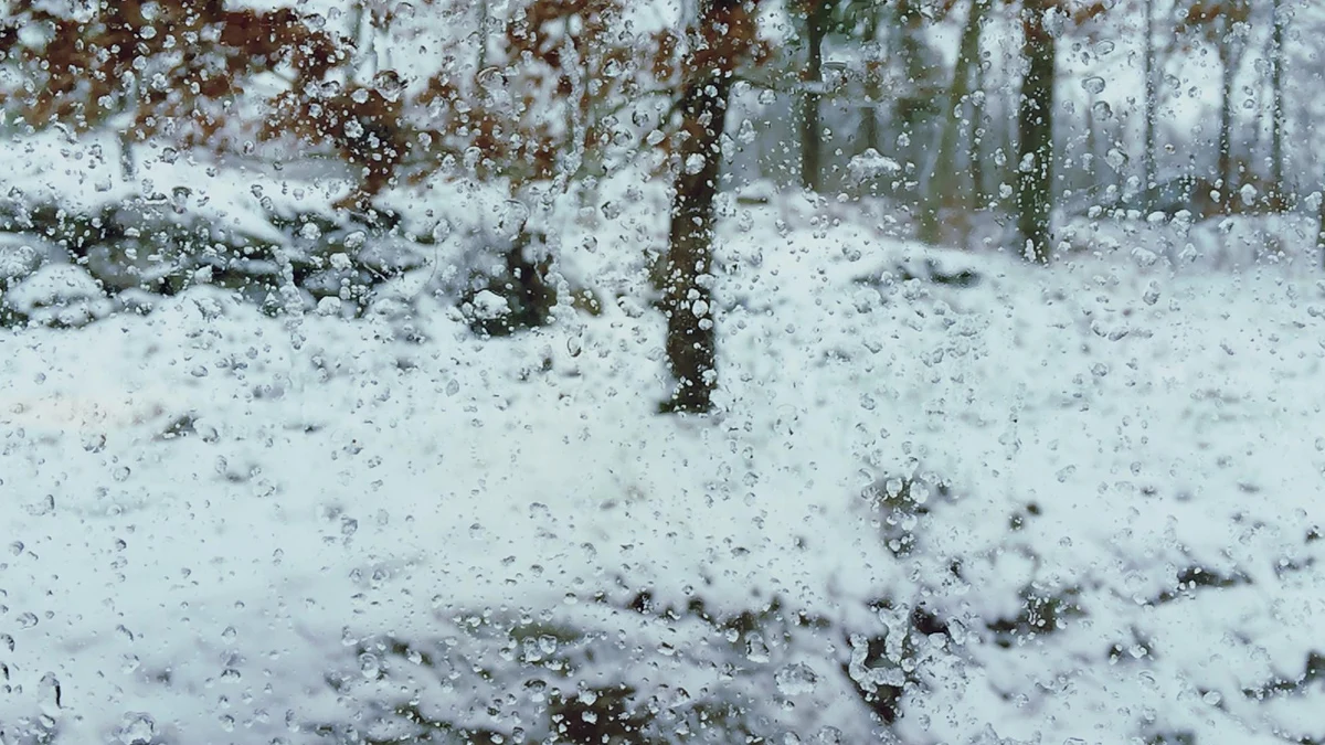 Особено обилен ще бъде снегът в РодопитеСлед снеговалежа в част
