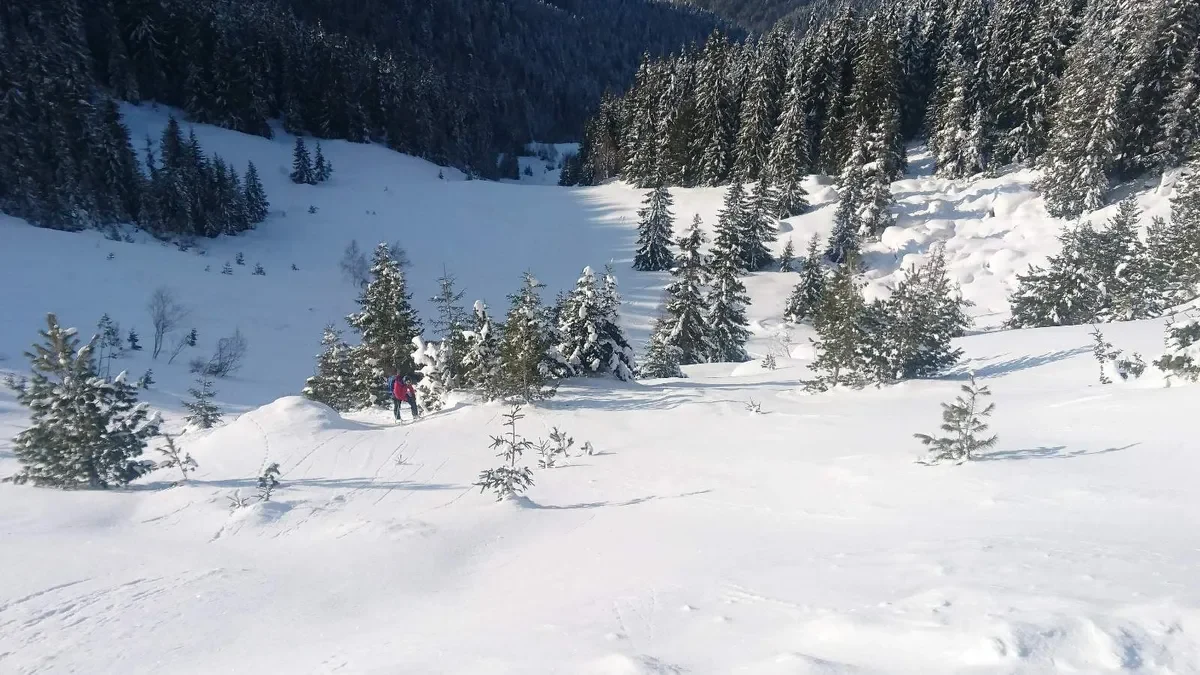 Спонтанна лавина падна в Пирин, ПСС отчете риск от пета