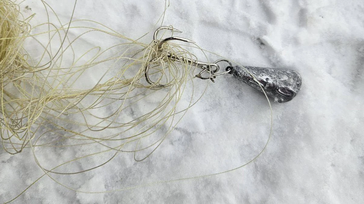 Двама души са заловени да косят риба в Дунав, получиха