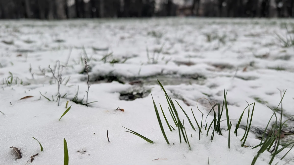 Жълт код за валежи е в сила за три области,