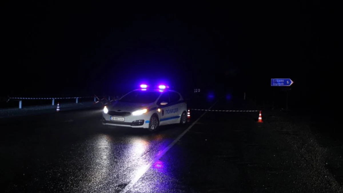 Инцидентите край Монтана блокираха международния път Е-79 за часове, движението