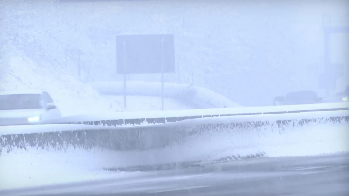 Полицията отчете над 200 катастрофи в Саксония и Тюрингия за